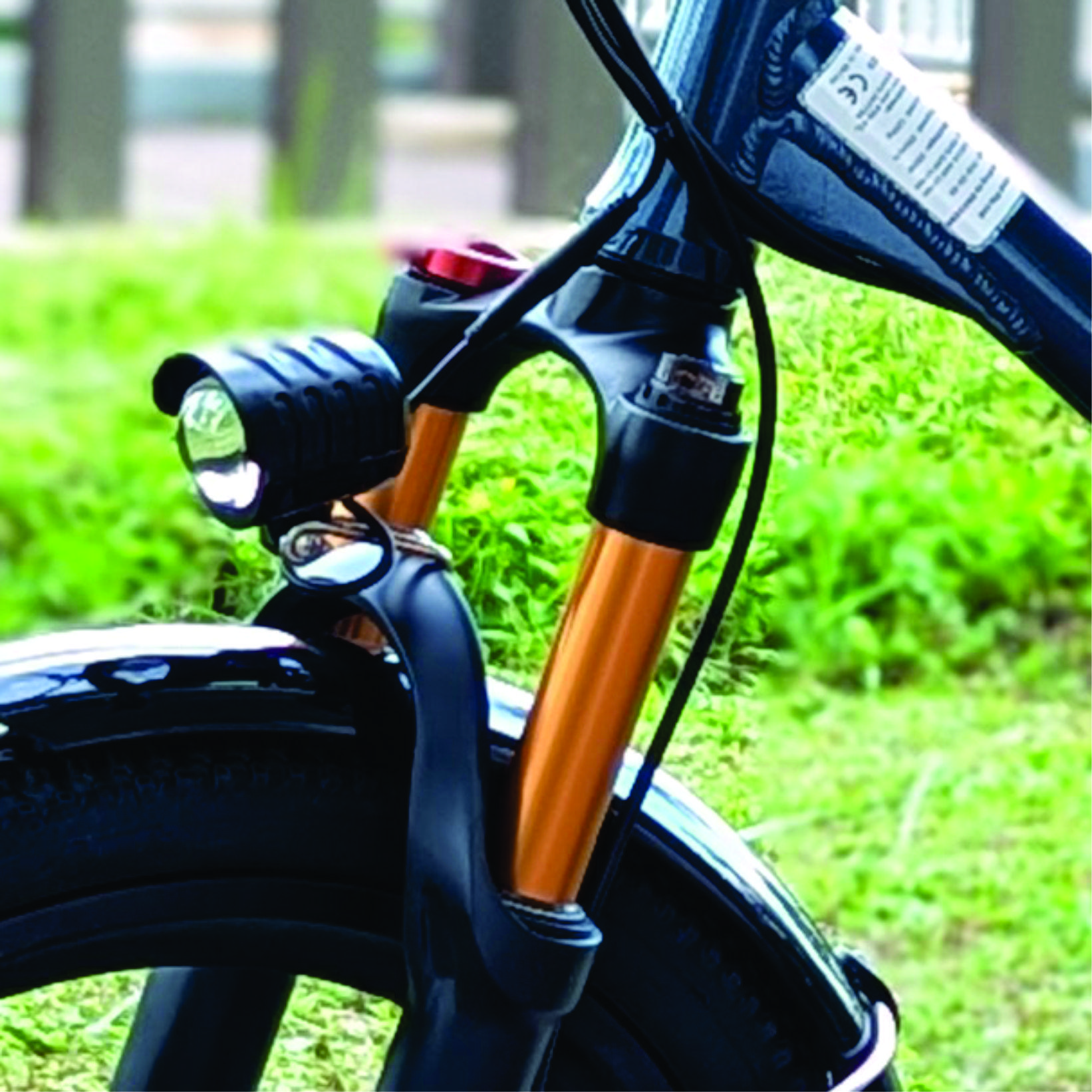 X202.0 maximalSG Electric Bicycle (PAB) | Rainproof | LG Battery | Adjustable Front Suspension Ebike - Image 4